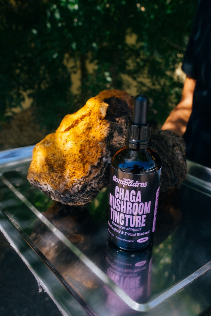 Chaga Tincture