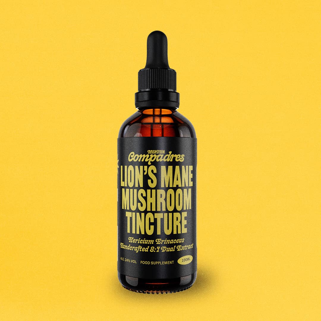 Lion's Mane Tincture