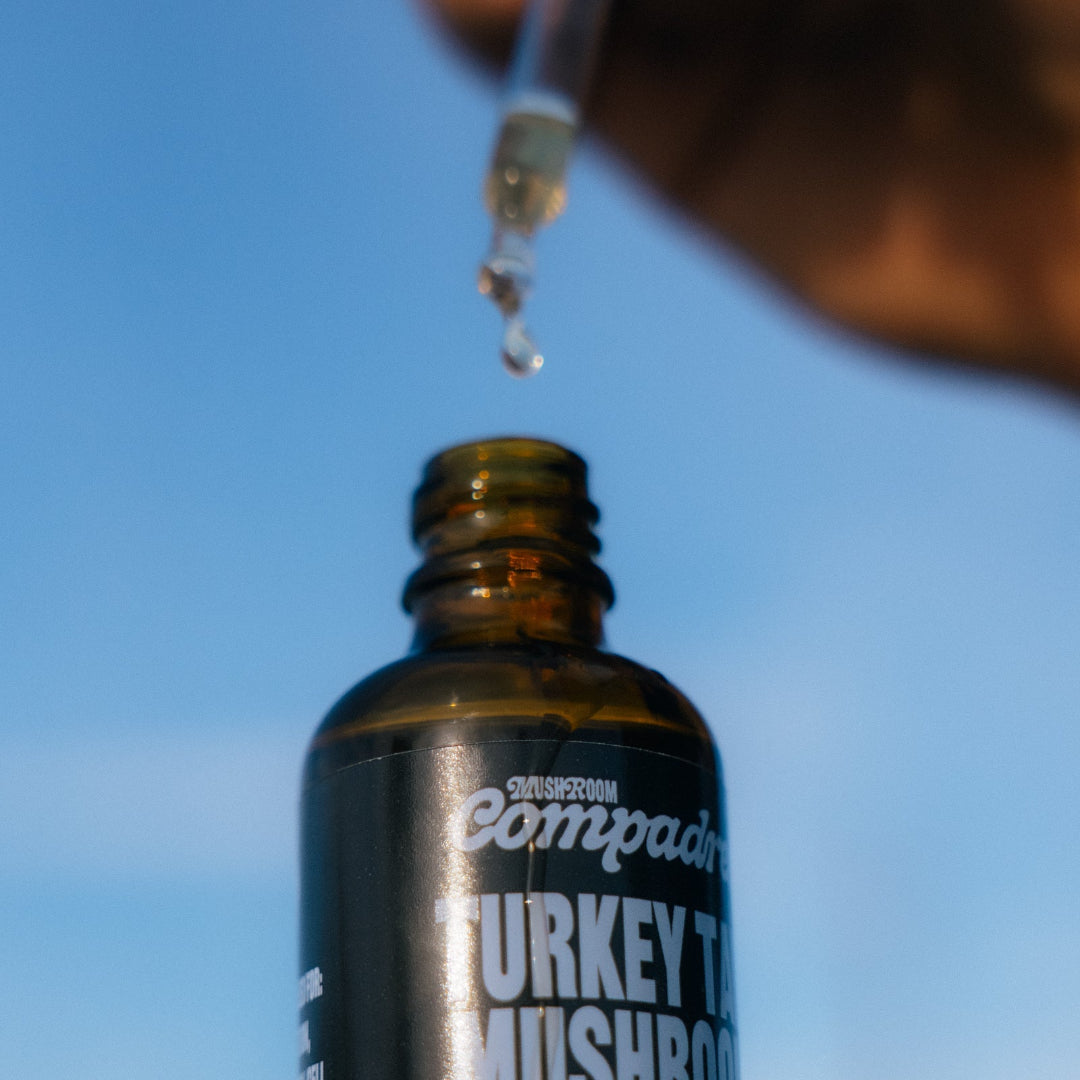 Turkey Tail Tincture