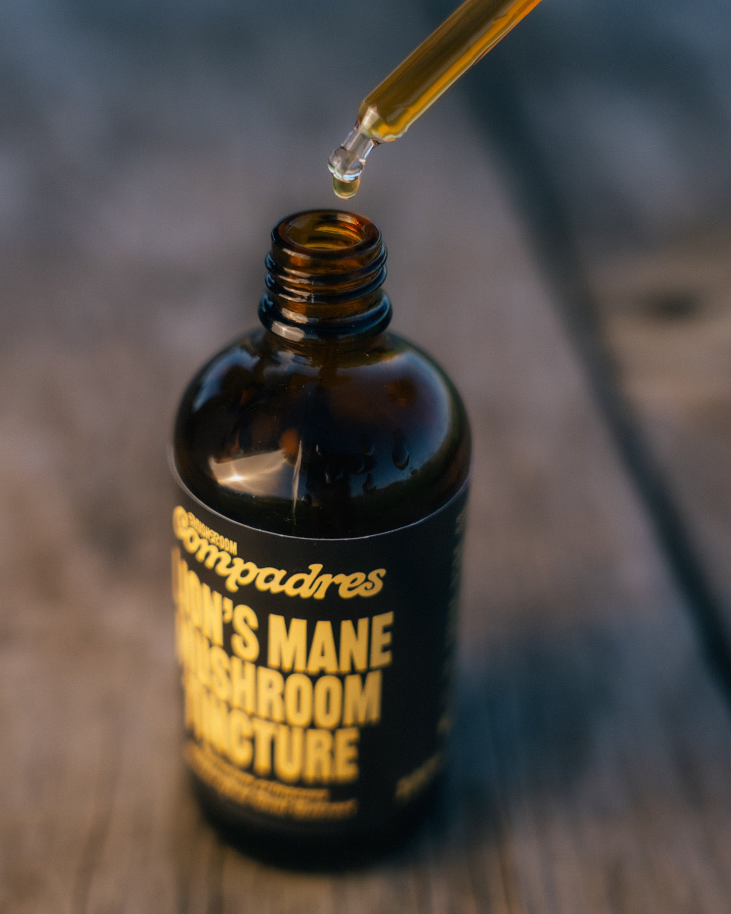 Lion's Mane Tincture