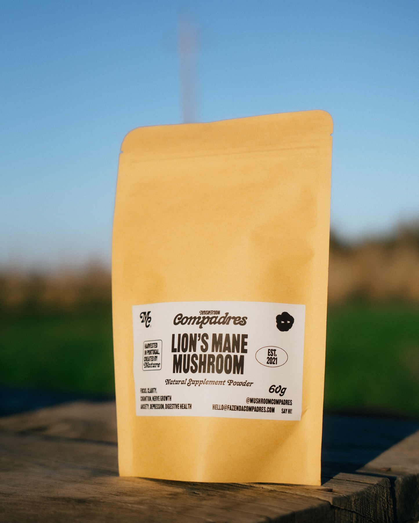 Lion's Mane Powder