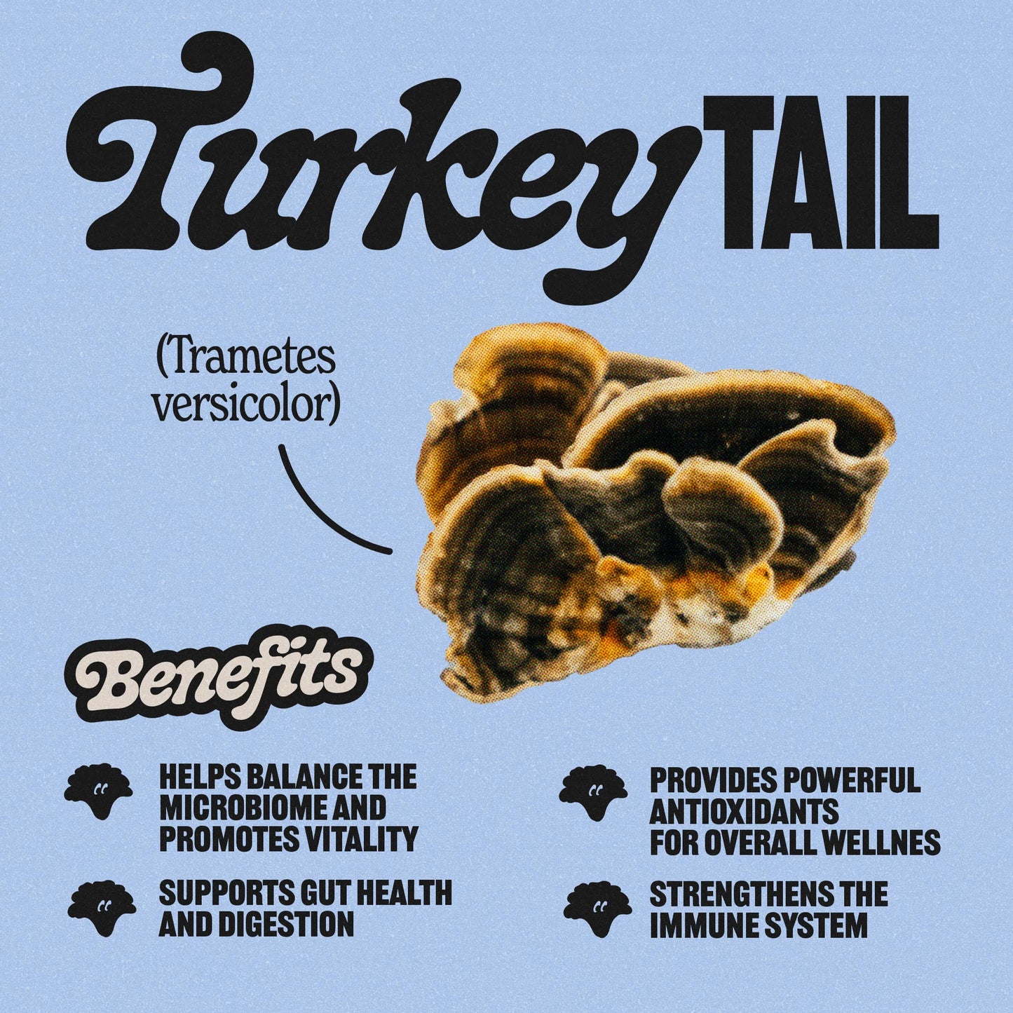 Turkey Tail Tincture