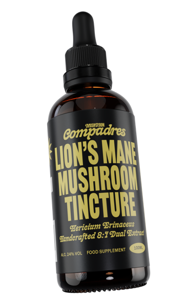 Lion's Mane Tincture