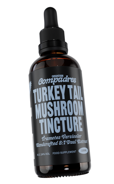 Turkey Tail Tincture