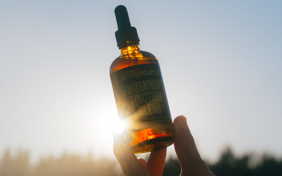 Mushrooms ≠ Biohacking