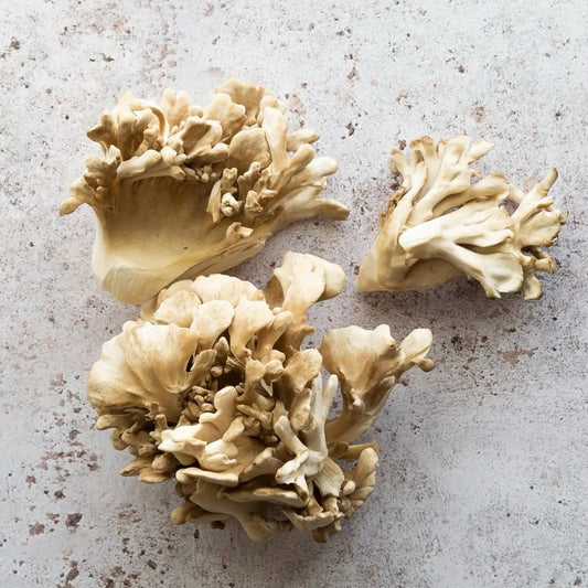 Maitake Mushroom: Benefits & How to Use