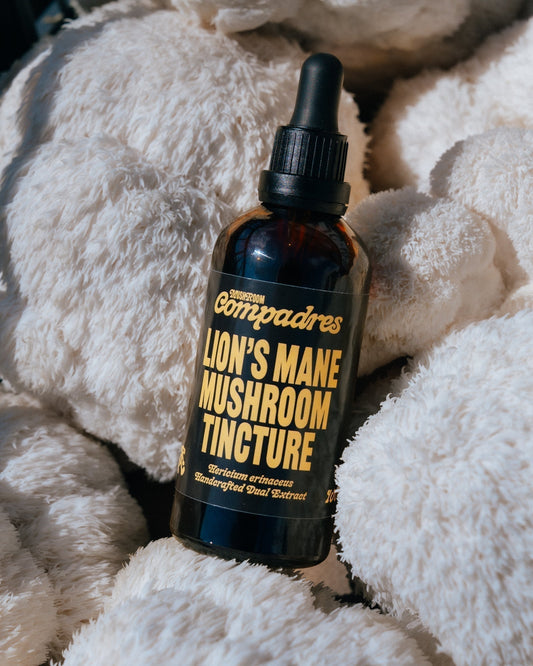 What Is Brain Fog, And Why So Many People Have It Without Realising