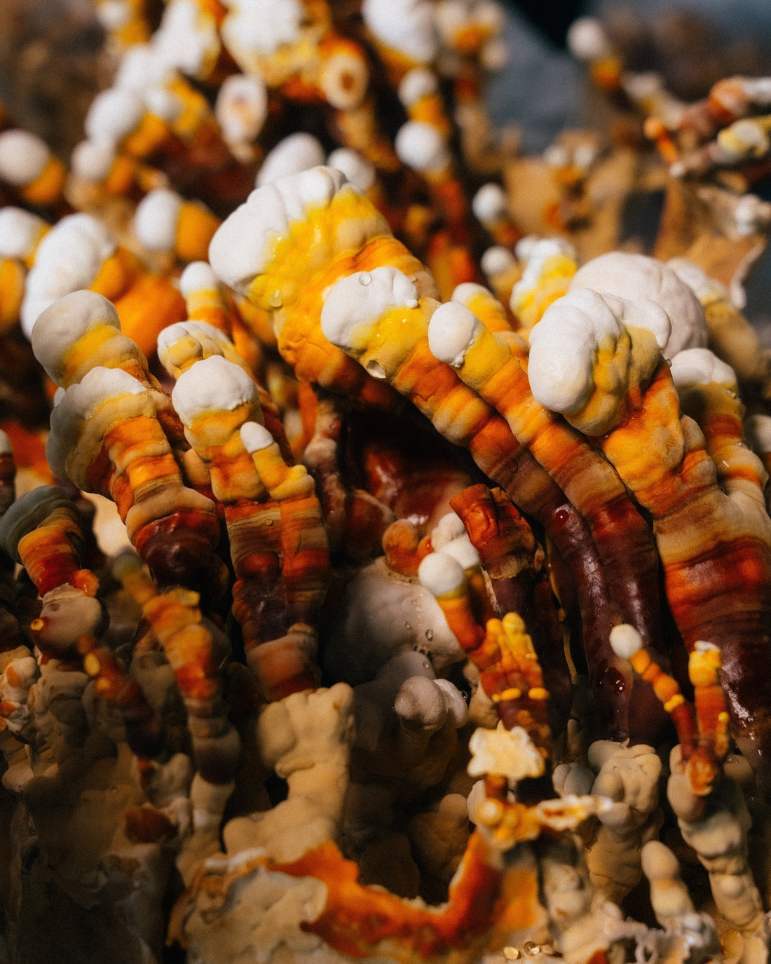 Why You’re Still Tired Even After Resting (And What You Can Do About It)