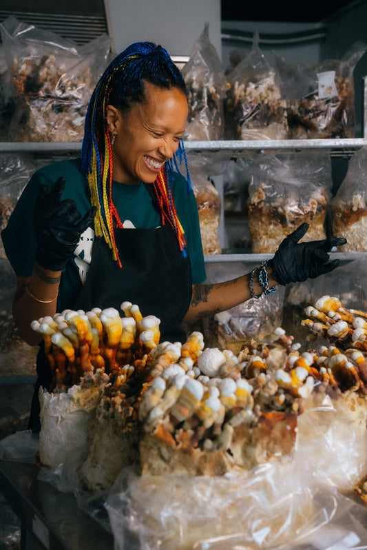 Reishi for Women: Why This Mushroom Is a Hormonal Powerhouse