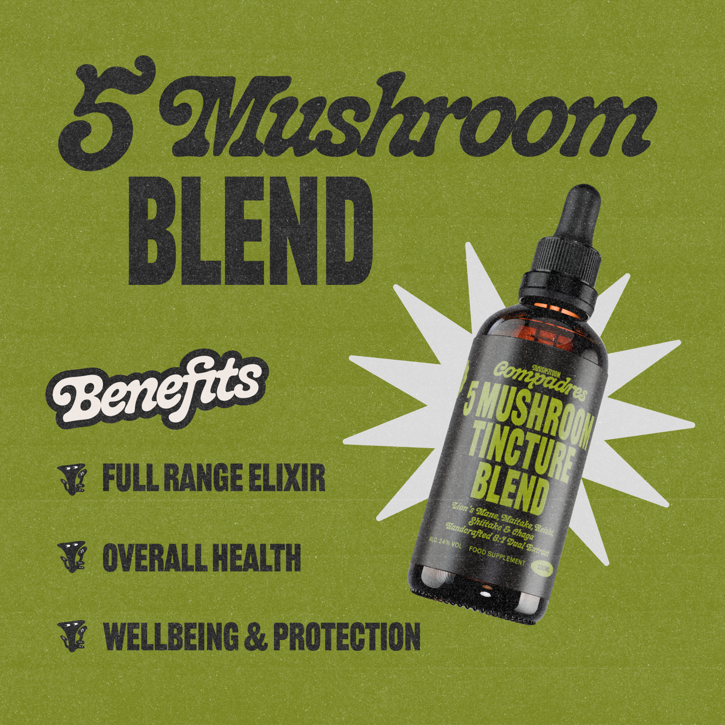 5  Mushroom Blend