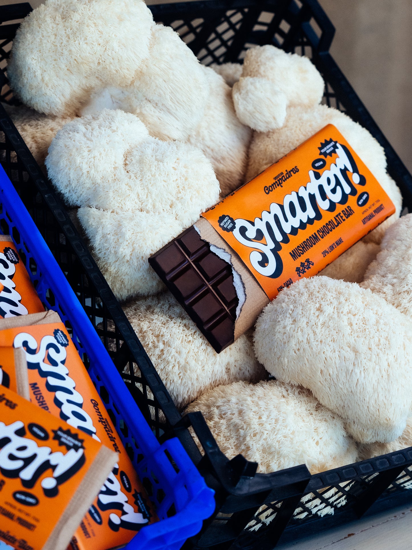 Lion's Mane Chocolate Bar