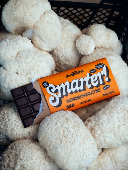 Lion's Mane Chocolate Bar