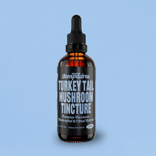 Turkey Tail Tincture