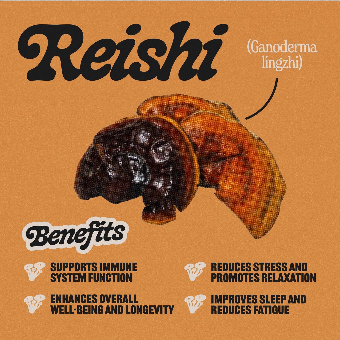Reishi Tincture
