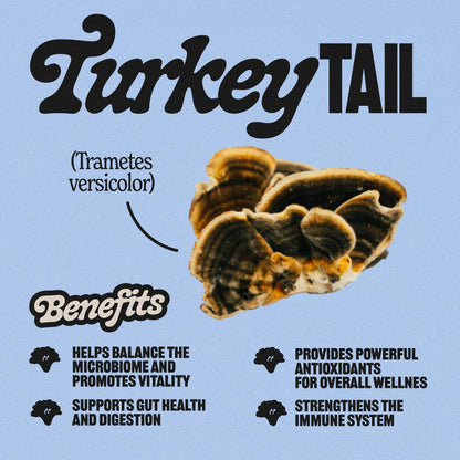 Turkey Tail Tincture