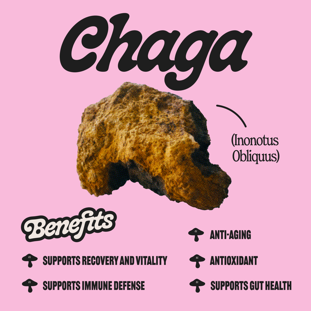 Chaga Tincture