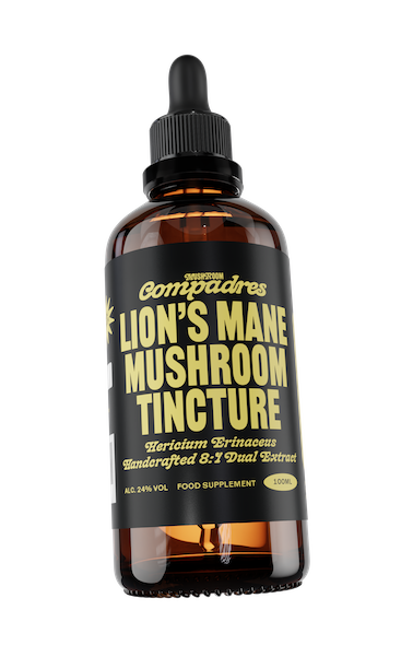 Lion's Mane Tincture