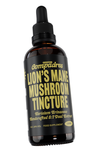 Lion's Mane Tincture
