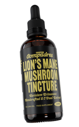 Lion's Mane Tincture