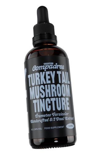 Turkey Tail Tincture