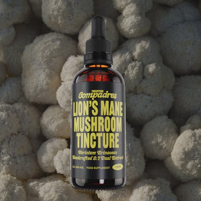 Lion's Mane Tincture